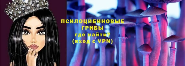 ПСИЛОЦИБИНОВЫЕ ГРИБЫ Алексин