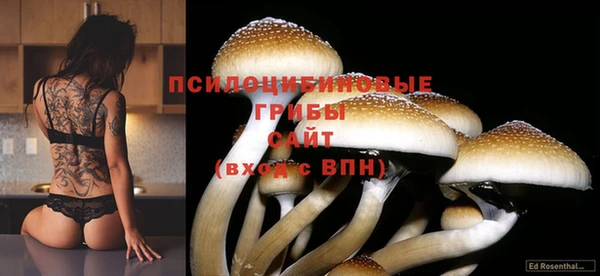 MDMA Нязепетровск