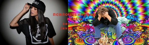 метамфетамин Алексеевка