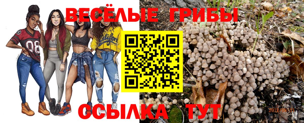 Псилоцибиновые грибы прущие грибы Магадан